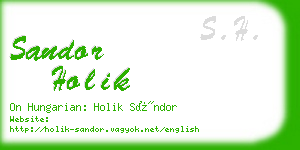 sandor holik business card